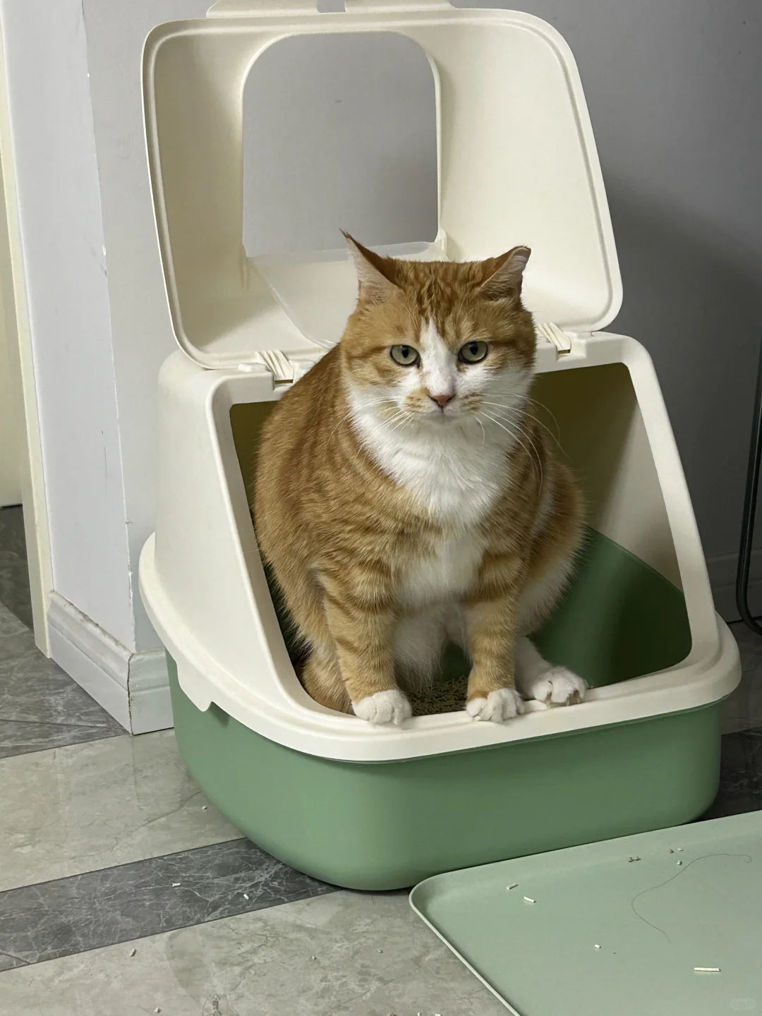 哥把你放心上，你把哥挂网上