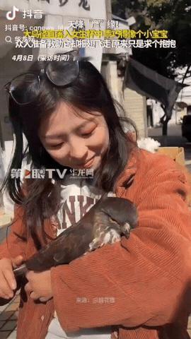 四川，一女子出门晒太阳，没想到一只大鸟突然飞向她怀中，它乖巧地像个小宝宝，大家以