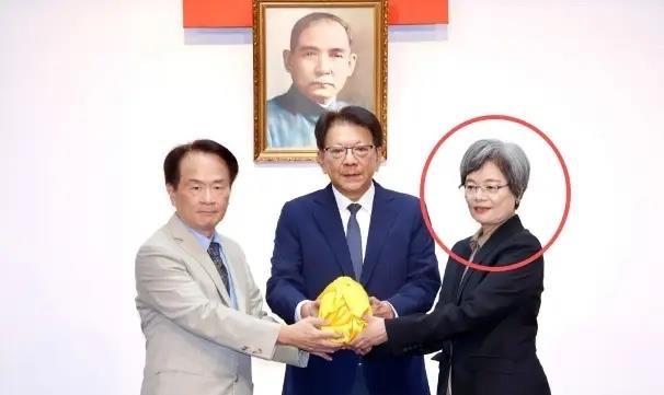 党外在野大联盟刚成立就被扣帽子，民进党这波操作急得连遮羞布都不要了。这个由郑丽文