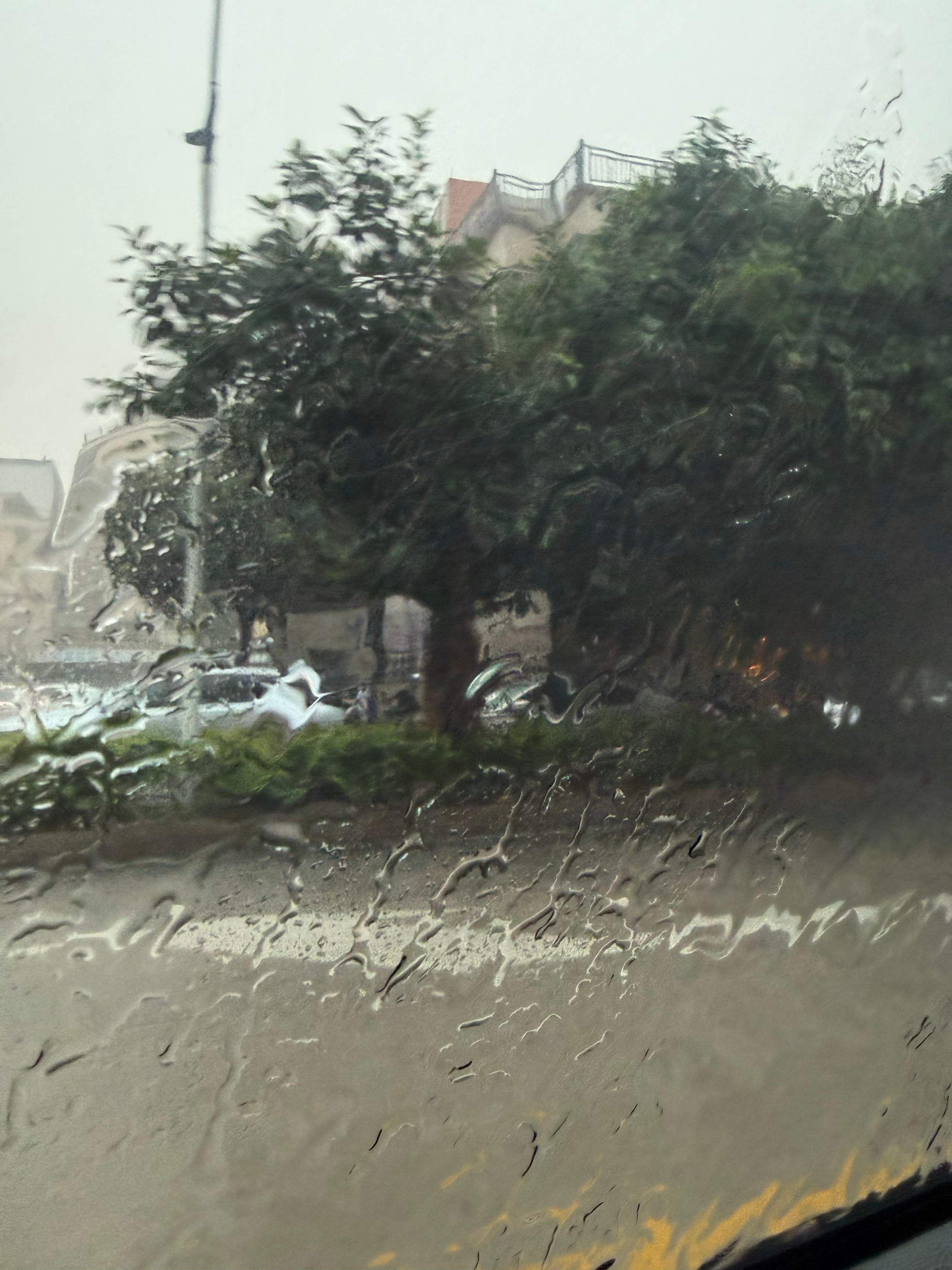 今年咋了，广东又台风了[泪奔]巨之暴雨 ​​​