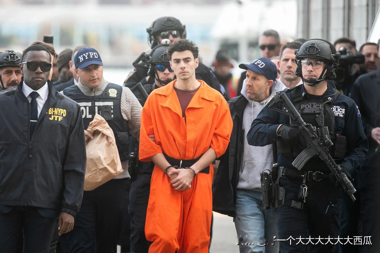 枪杀美国联合健康保险CEO的男枪路易吉当时这个事件的含金量还在上升，
按理说美国