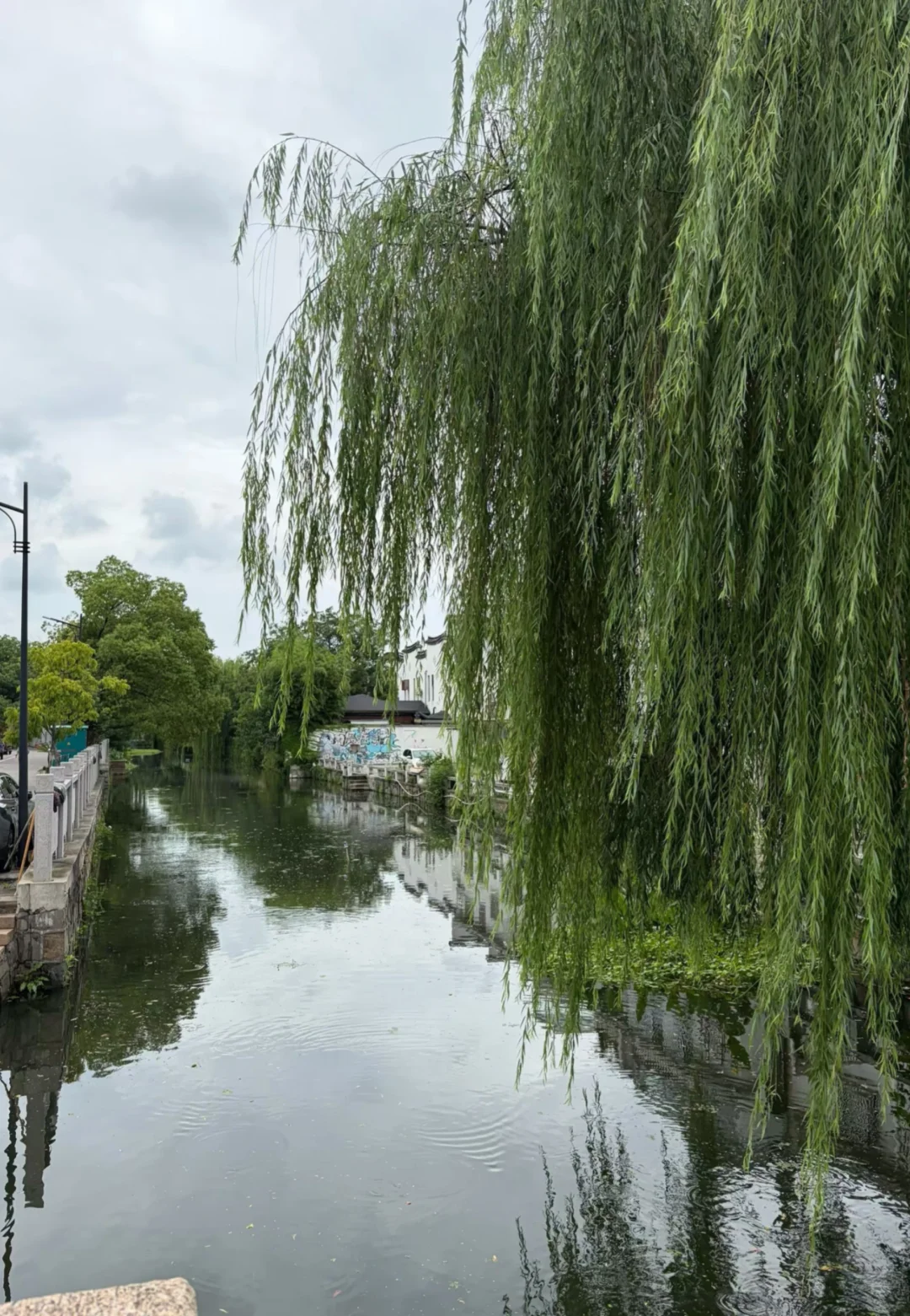 来，看水乡河道！🍃