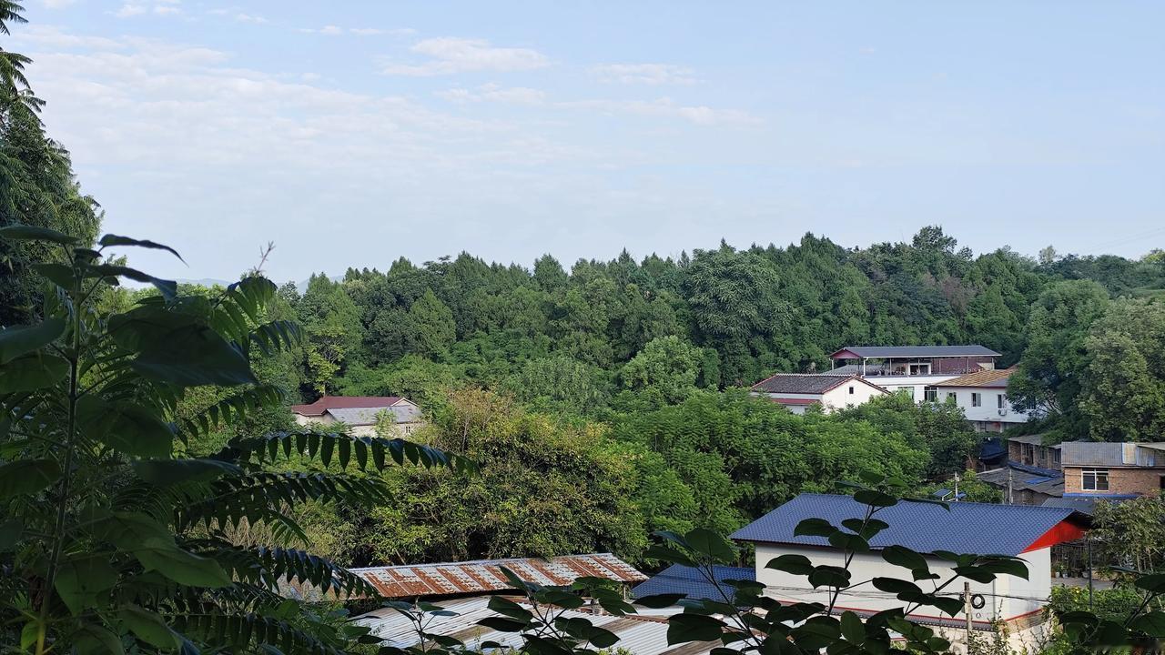 秋日生活打卡季乡村风景欣赏！被绿植淹没的村庄！分享一张自然风景的照片，