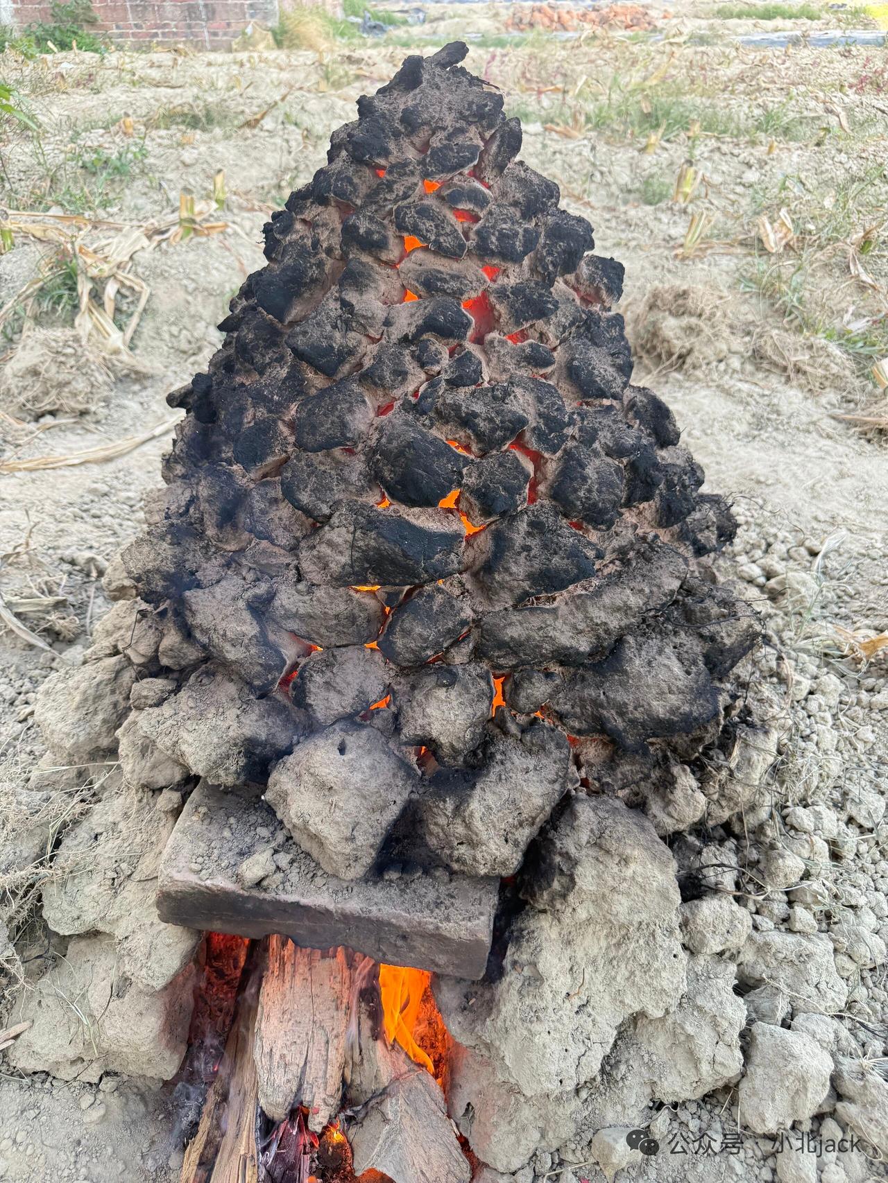 看到它，
就想到了小时候的“记忆”。
现在55岁的以上在农村生活过的的人，
都应