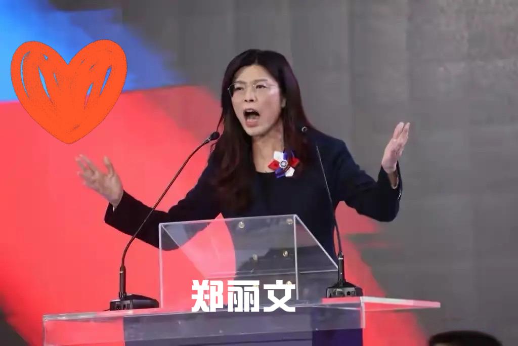 郑丽文的就职演说让岛内名医沈政男赞不绝口，沈政男说：“听完郑丽文的就职演说，似乎