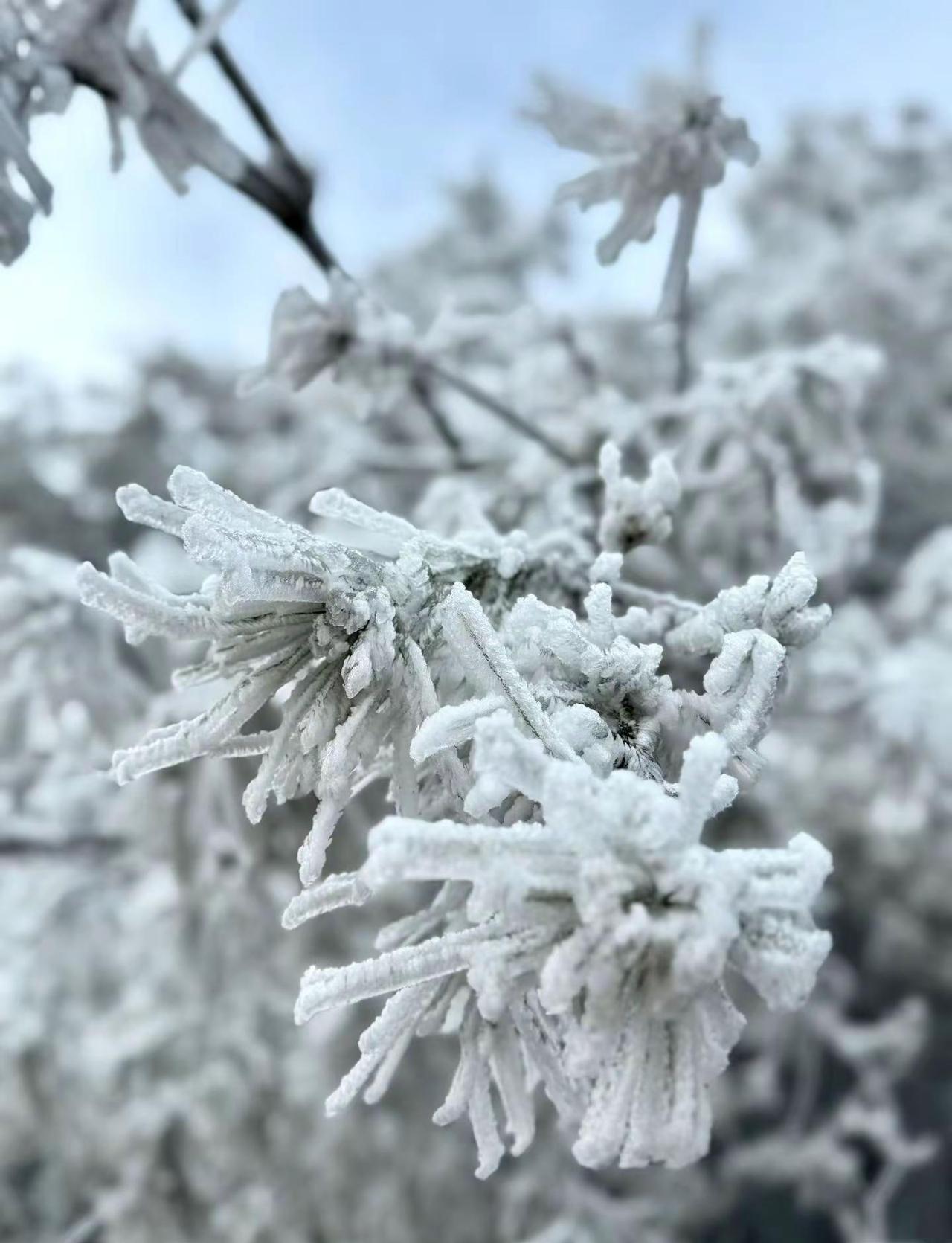 下雪啦，你的城市下雪了吗？上热门🔥上热门 雪山爬山推荐 爬山推荐 爬山