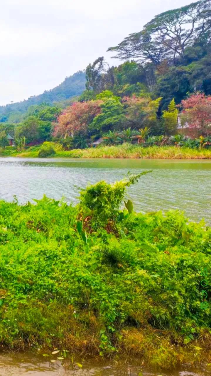 #【上联】小径竹影摇闲韵；下联您请# 
【上联】：小径竹影摇闲韵；

【下联】：