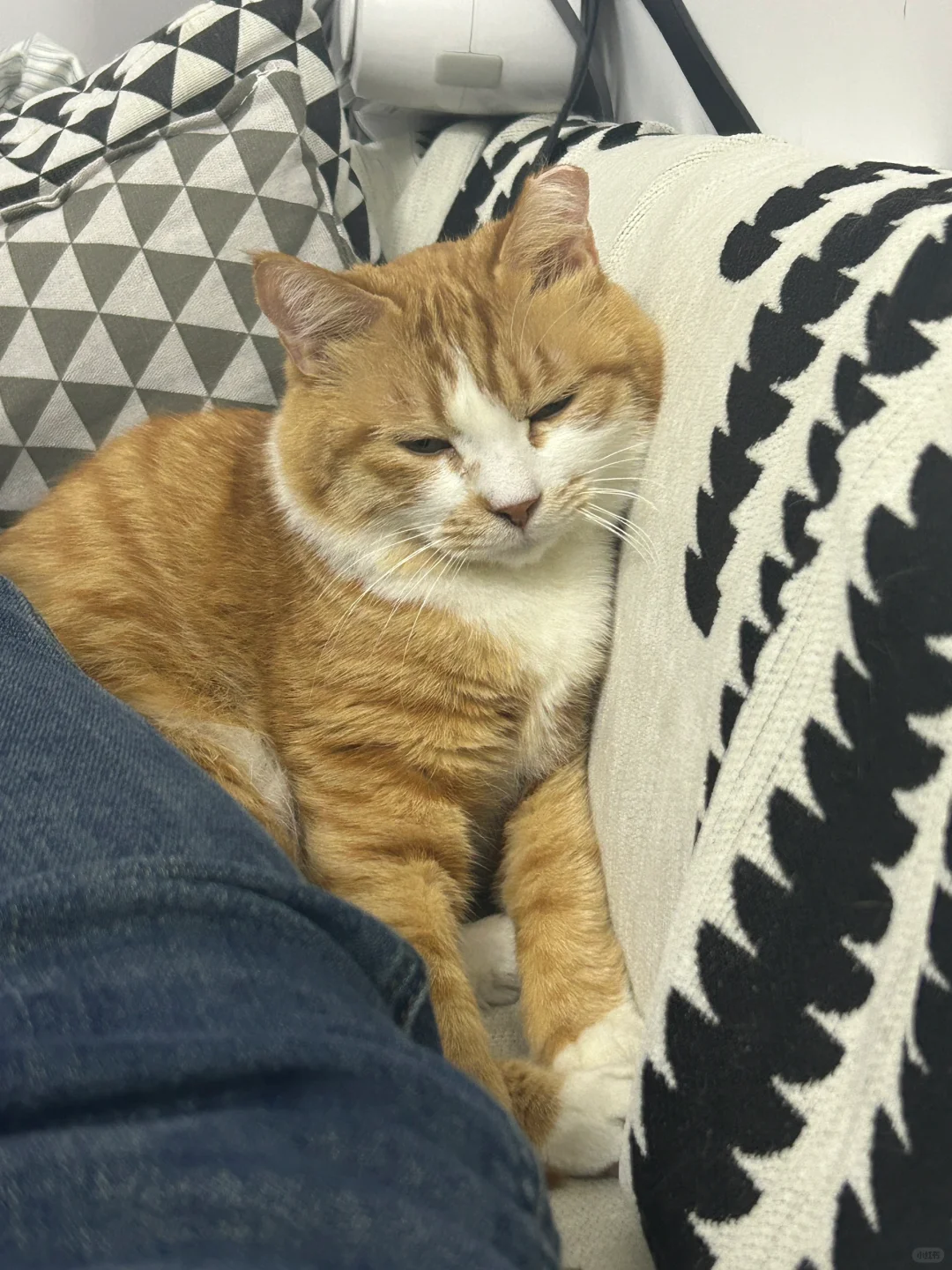 宝宝，为什么每天都在家睡大觉，还是困成这样