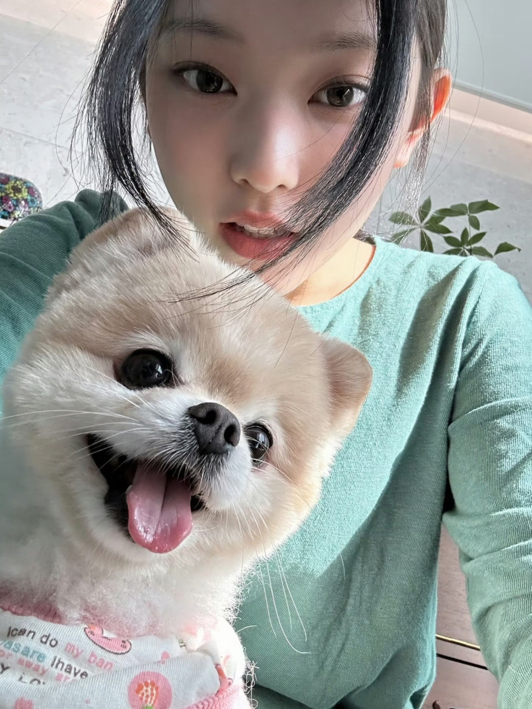 Haerin[超话]小猫小狗🐱🐶 ​​​