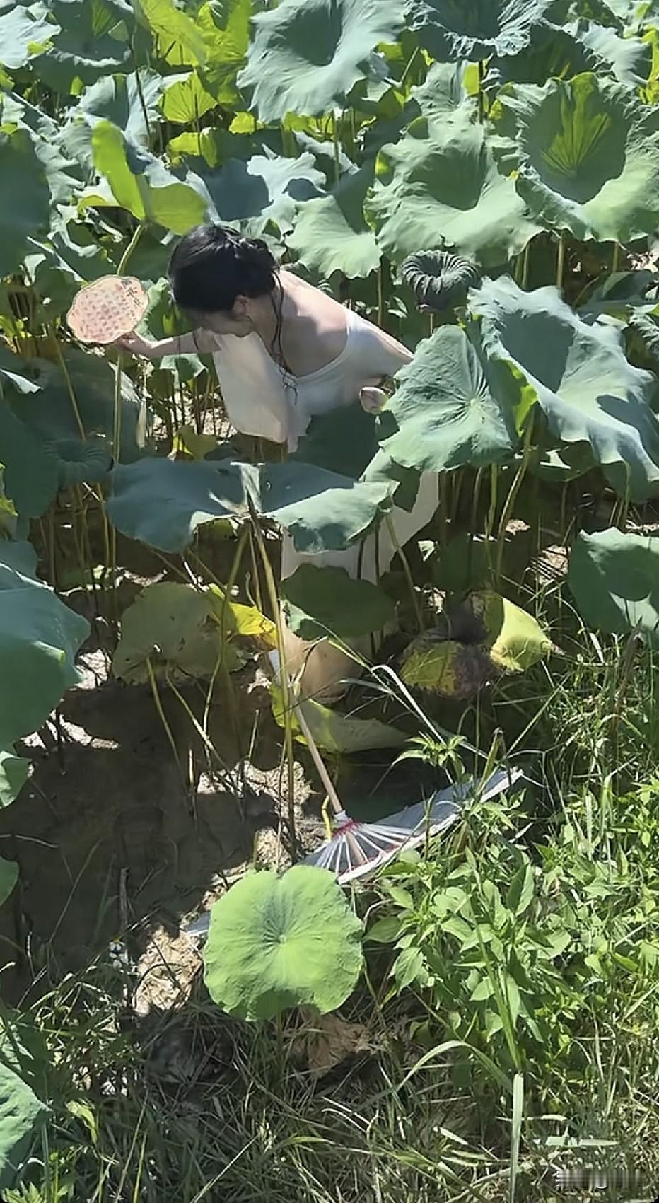 下去的时候就怕蚂蝗