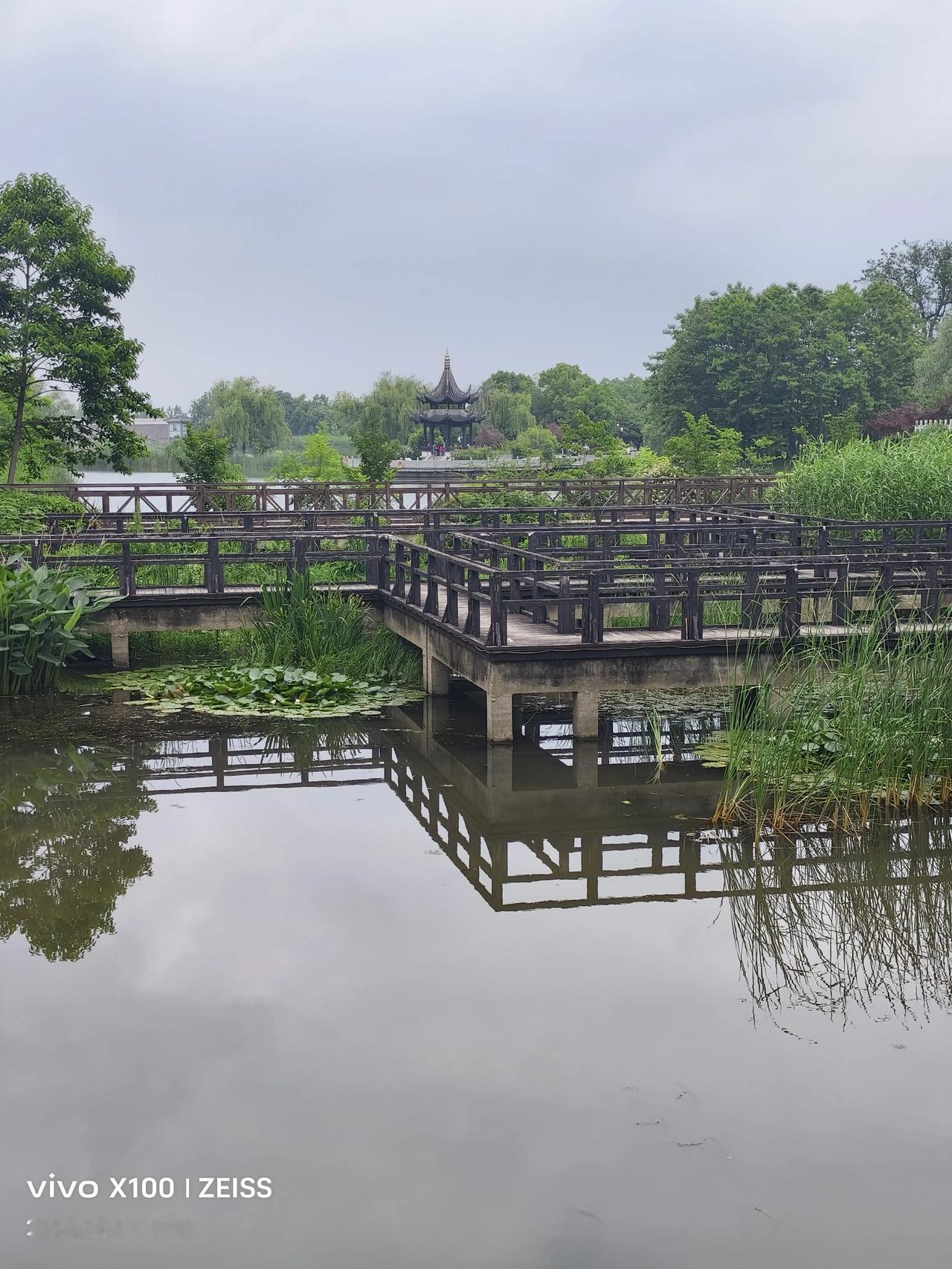 晒图笔记大赛城市里的慢时光，雨中小桥映着湖面，荷叶轻晃，随手一拍都是江南水乡的温