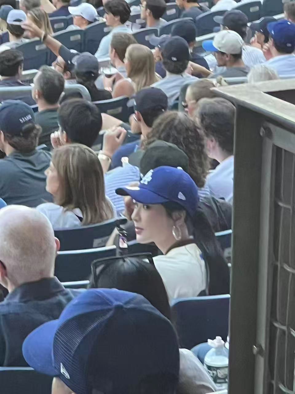 杨紫杨紫mlb棒球文化推广大使 Andy正在好好的享受她的精彩棒球比赛！ 