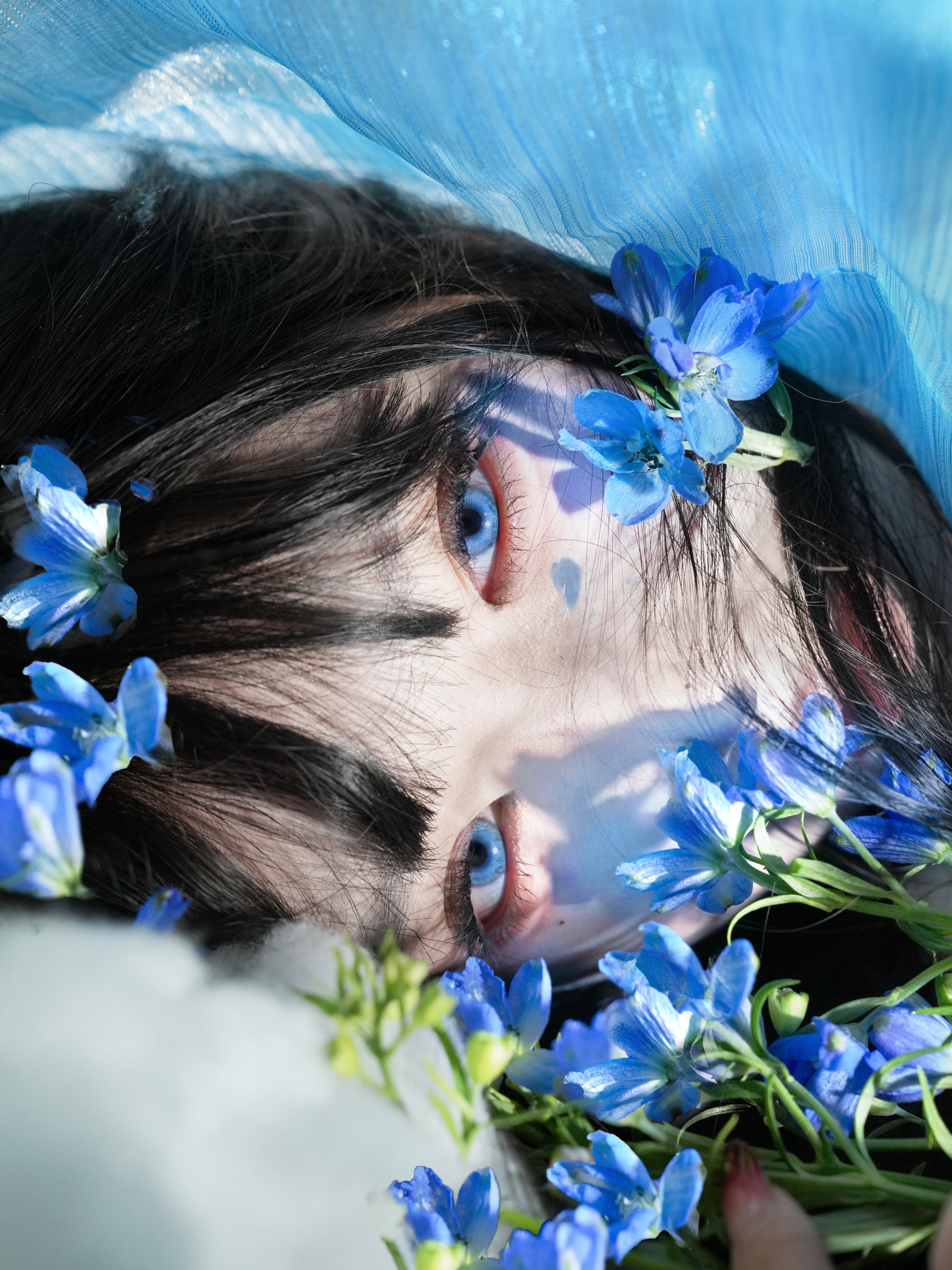 我一直都知道、世界的心脏是蓝色出镜 BliNdd 摄影[超话]  