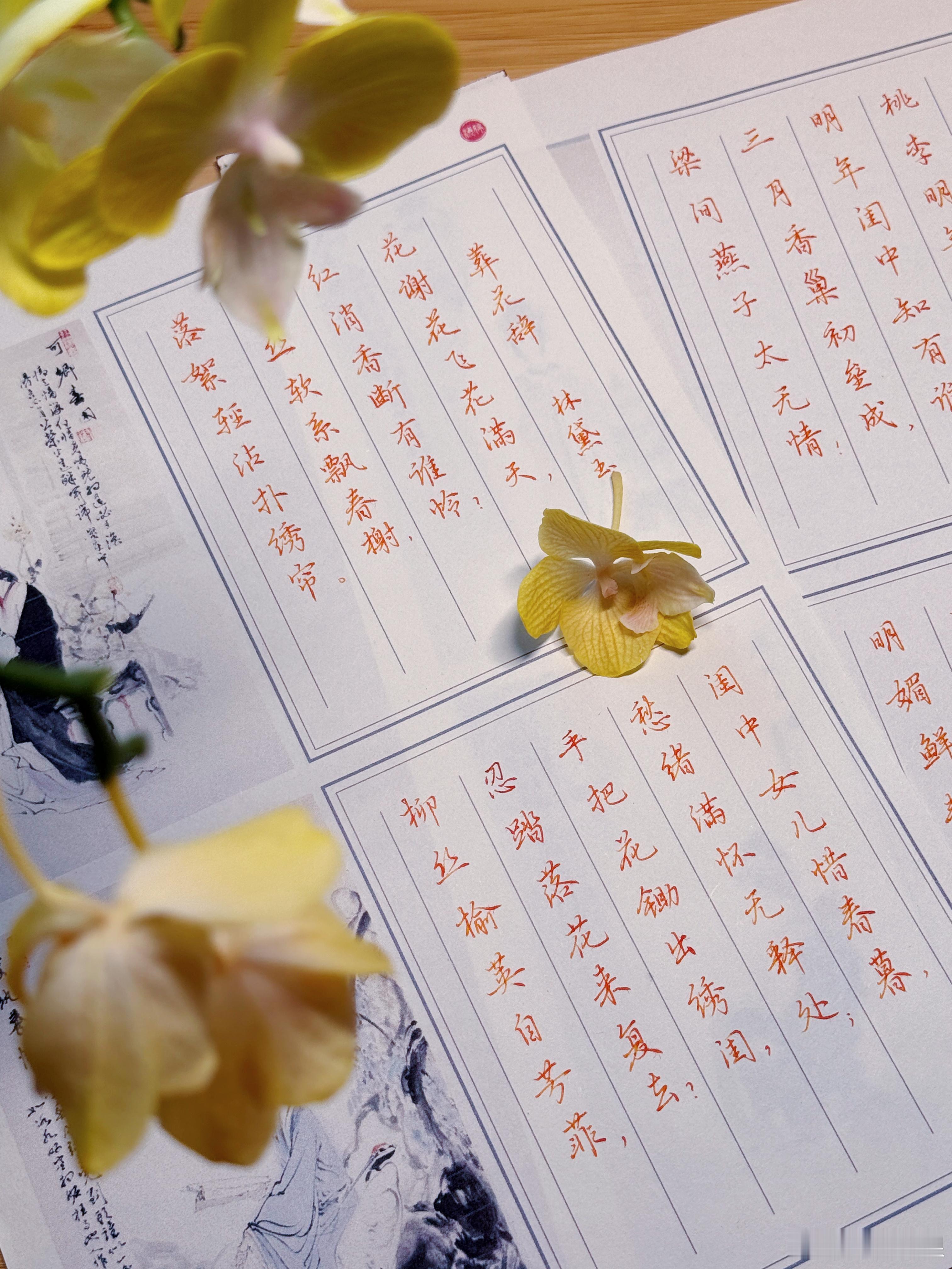 和赵赵一起练字 写写红楼诗词，练了就有用✍️。蒙肯纸阻力好大，ef笔尖写在上面有