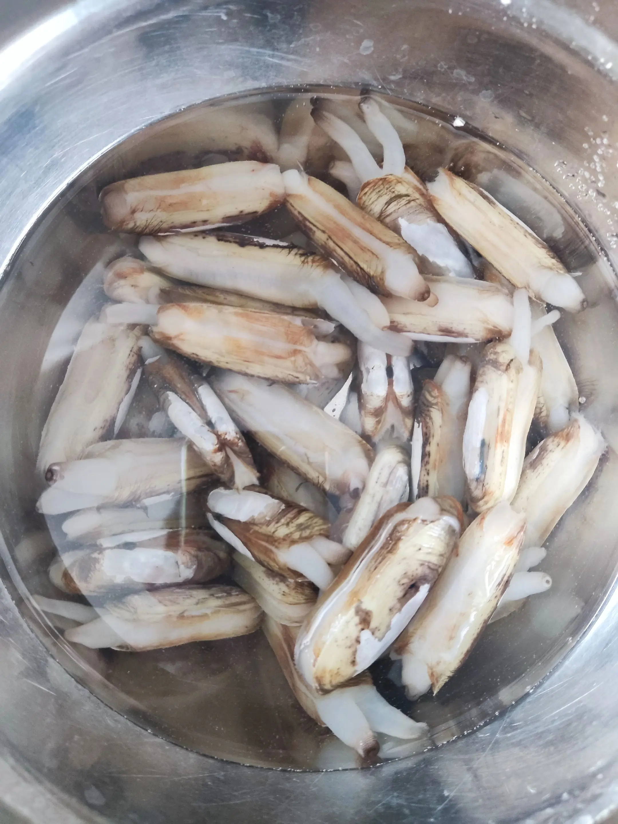 蛏子。