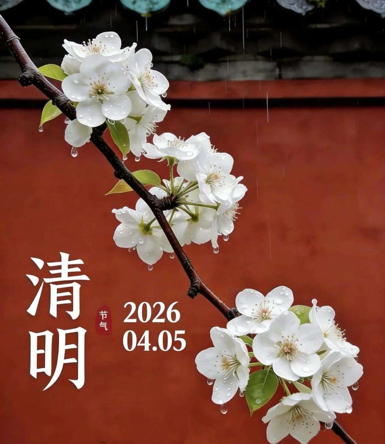 🌱 清明特辑 | 四大传统节日里，为啥就它“不守”农历规矩？

大家有没有发现