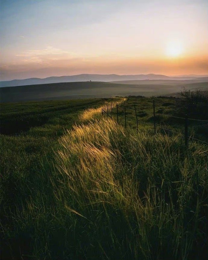 很赞同村上春树的一句话：  “有一个喜欢的人真的太重要了，在你打算稀里糊涂过这普