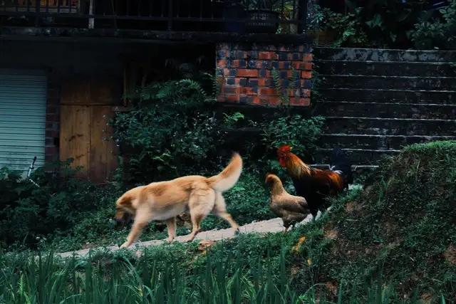 长春周边，要诞生一个全国级文旅新地标了？
我敢说：一旦落地，必将刷爆全网！
 