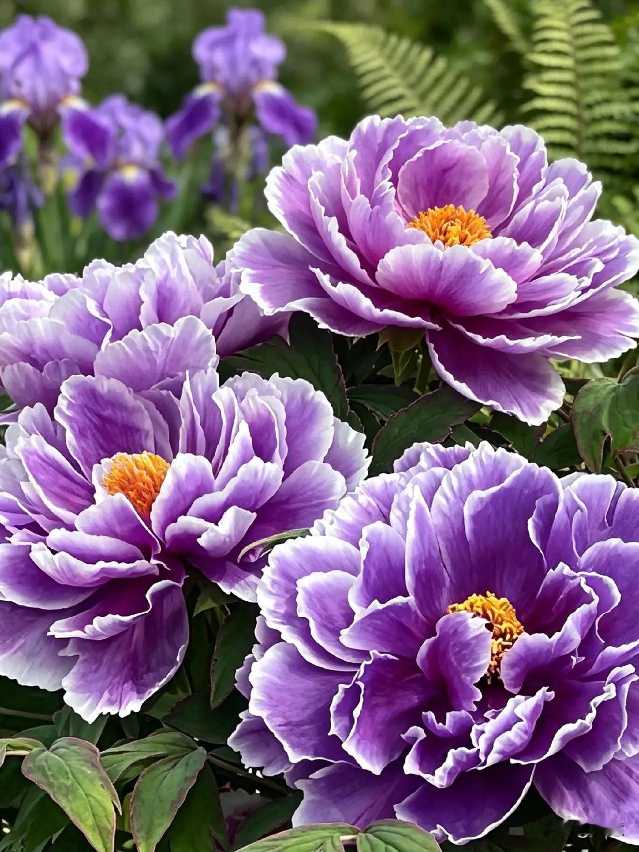 高薪是否能吸引更多人去偏远地区工作 高薪能吸引更多人去偏远地区工作，但只是敲门砖