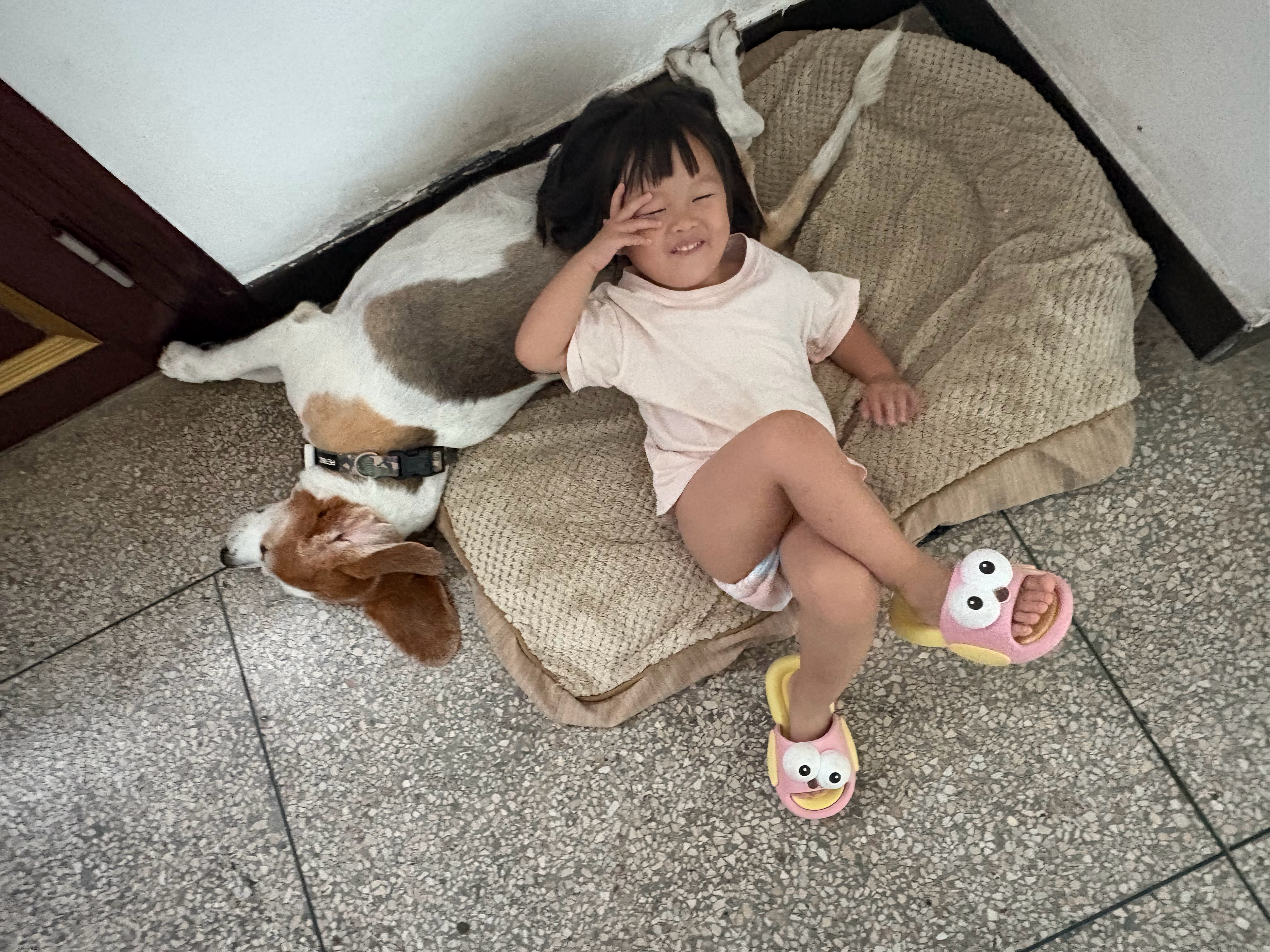 早上好 