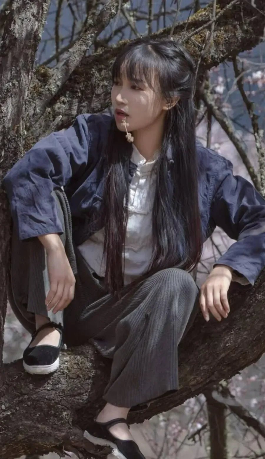 李子柒的回归，不仅仅是一次简单的更新，这是对短视频行业的一次重新定义，内容为王的