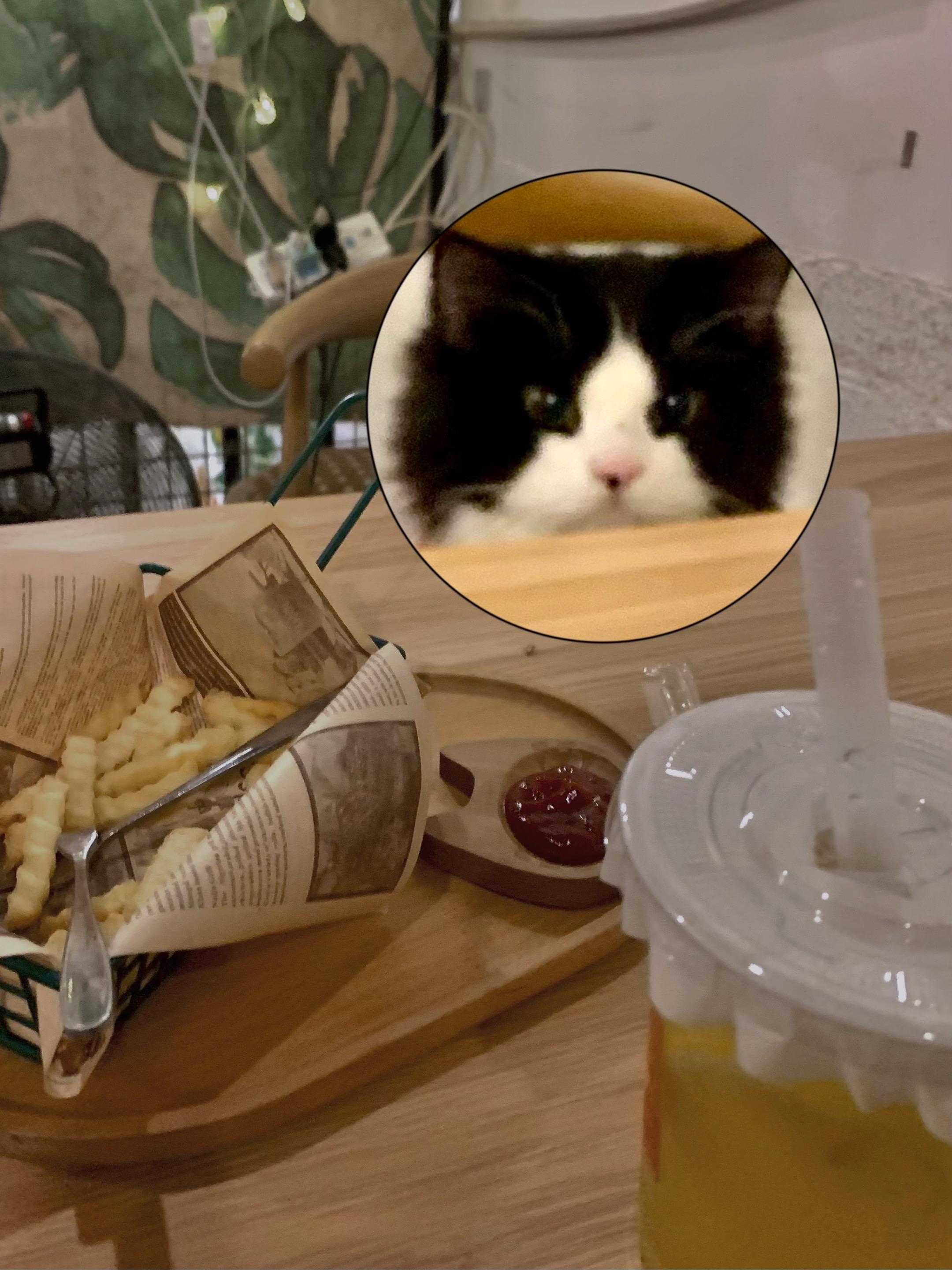 美食  每天都在幸福的路上～