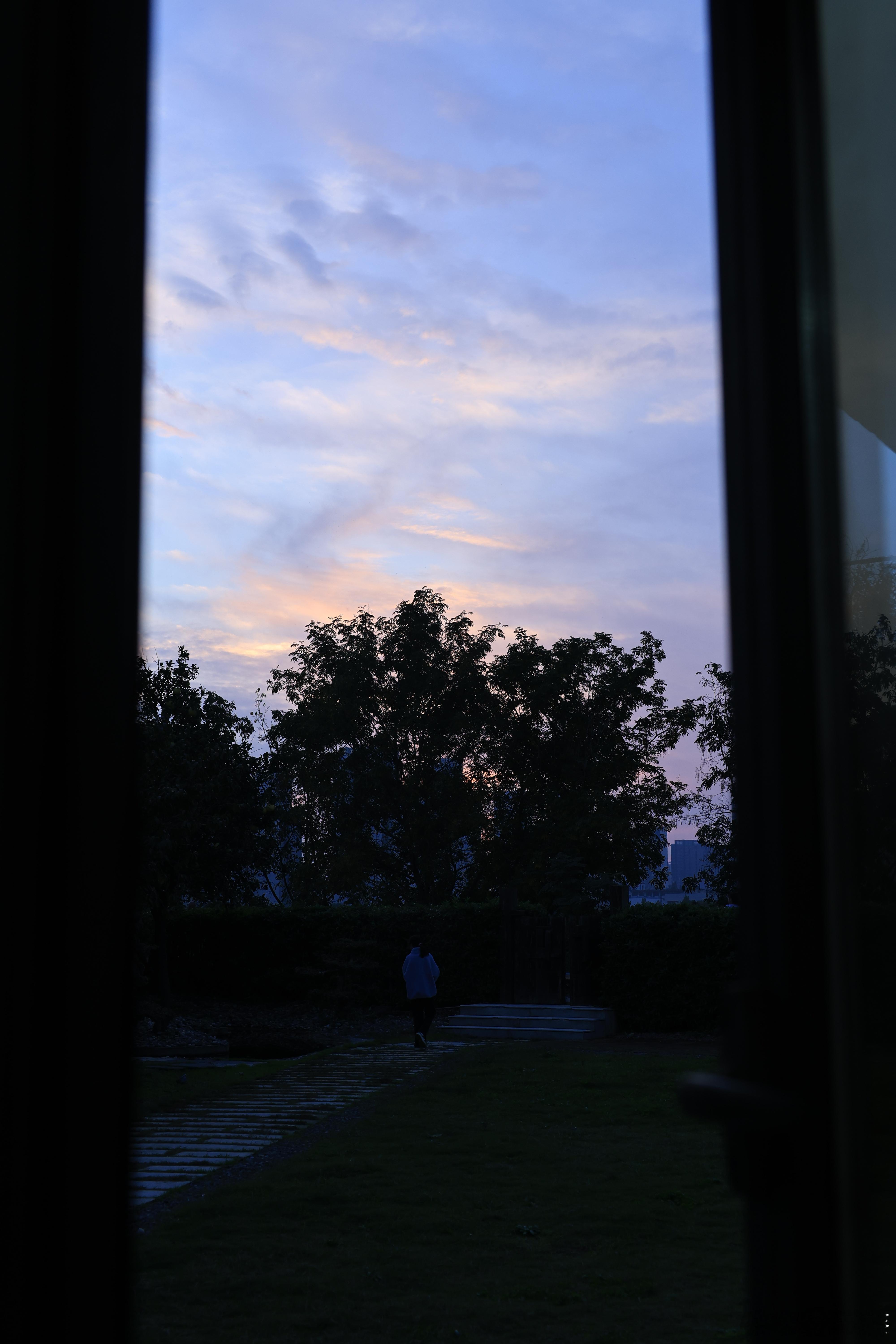 去鱼梁小院吃饭，遇见两只可爱的小猫咪 ​​​