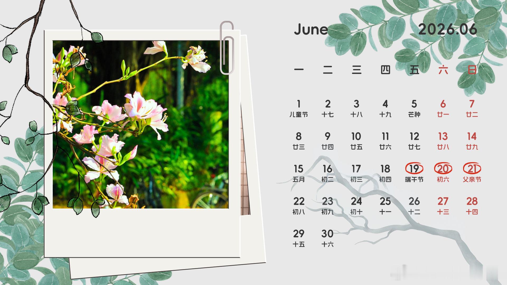 六月第一天日历一整片初夏的绿意，都如期而来。六月，夏日，青绿，安然🌱新一月，平