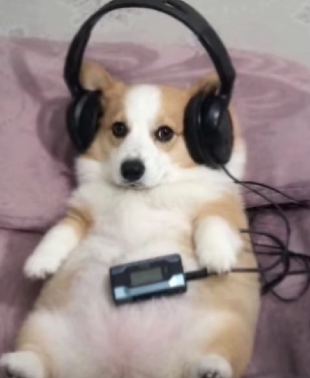 听歌的我 ​​​