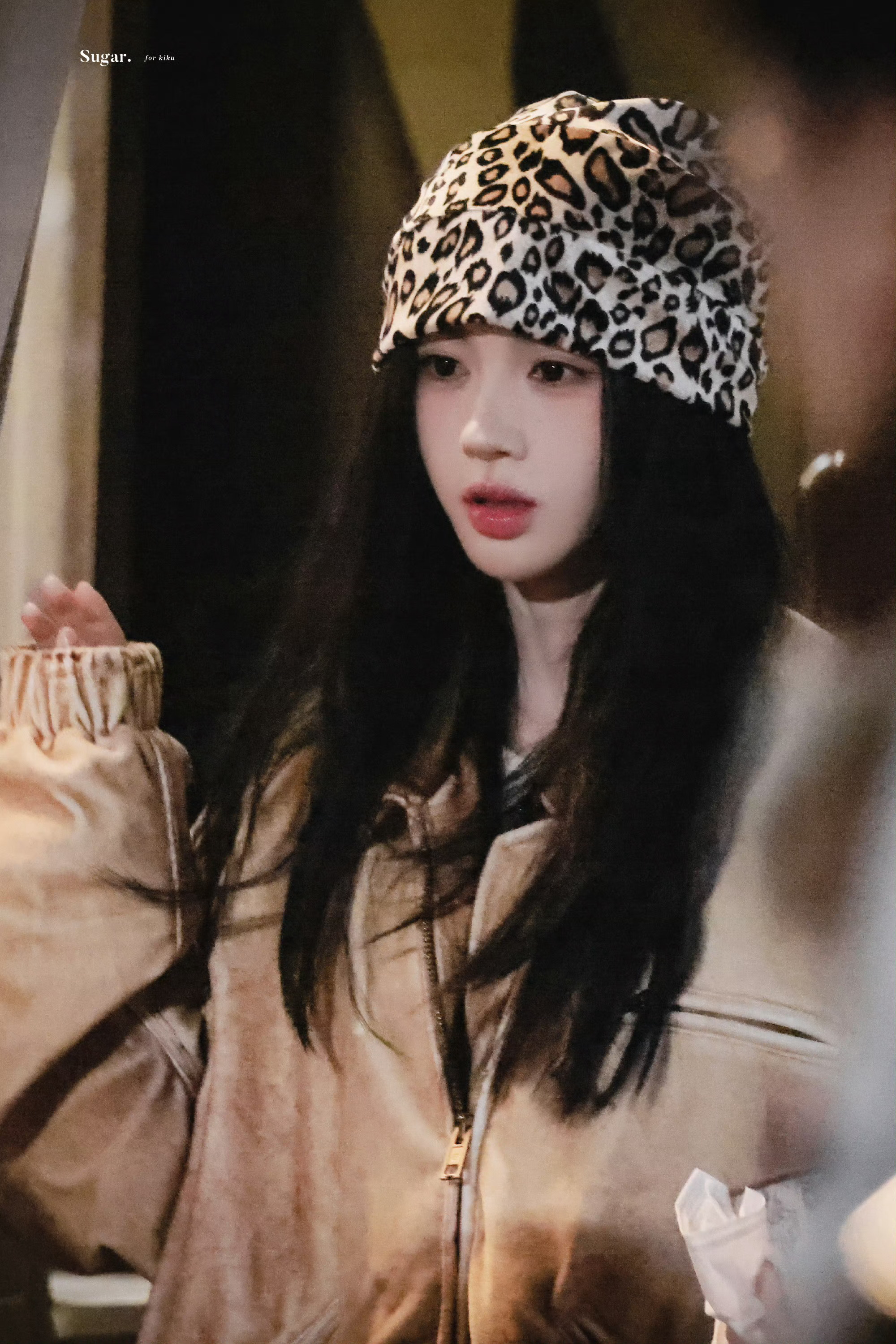 呆萌小猪鞠婧祎