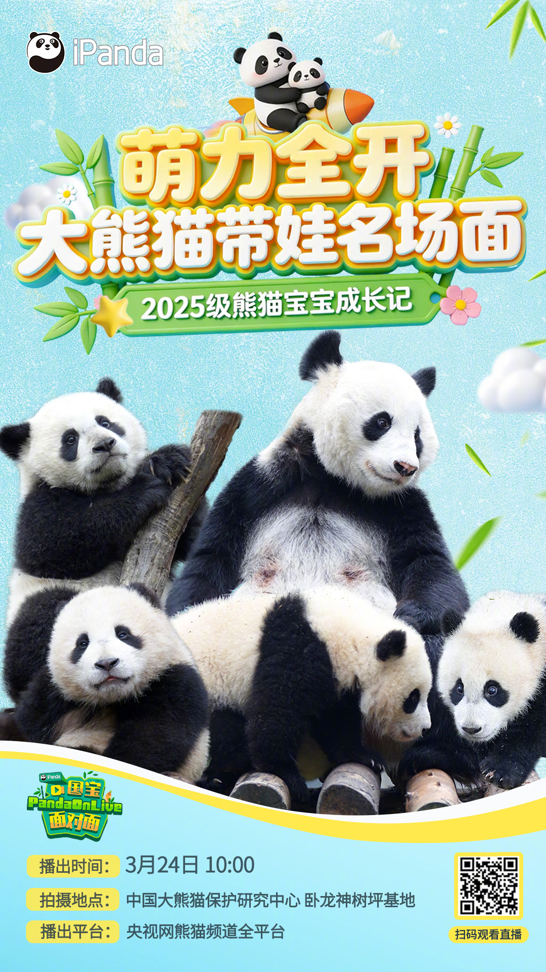 【播出预告：萌力全开！大熊猫带娃名场面 】卧龙神树坪基地2025级熊猫宝宝们在妈