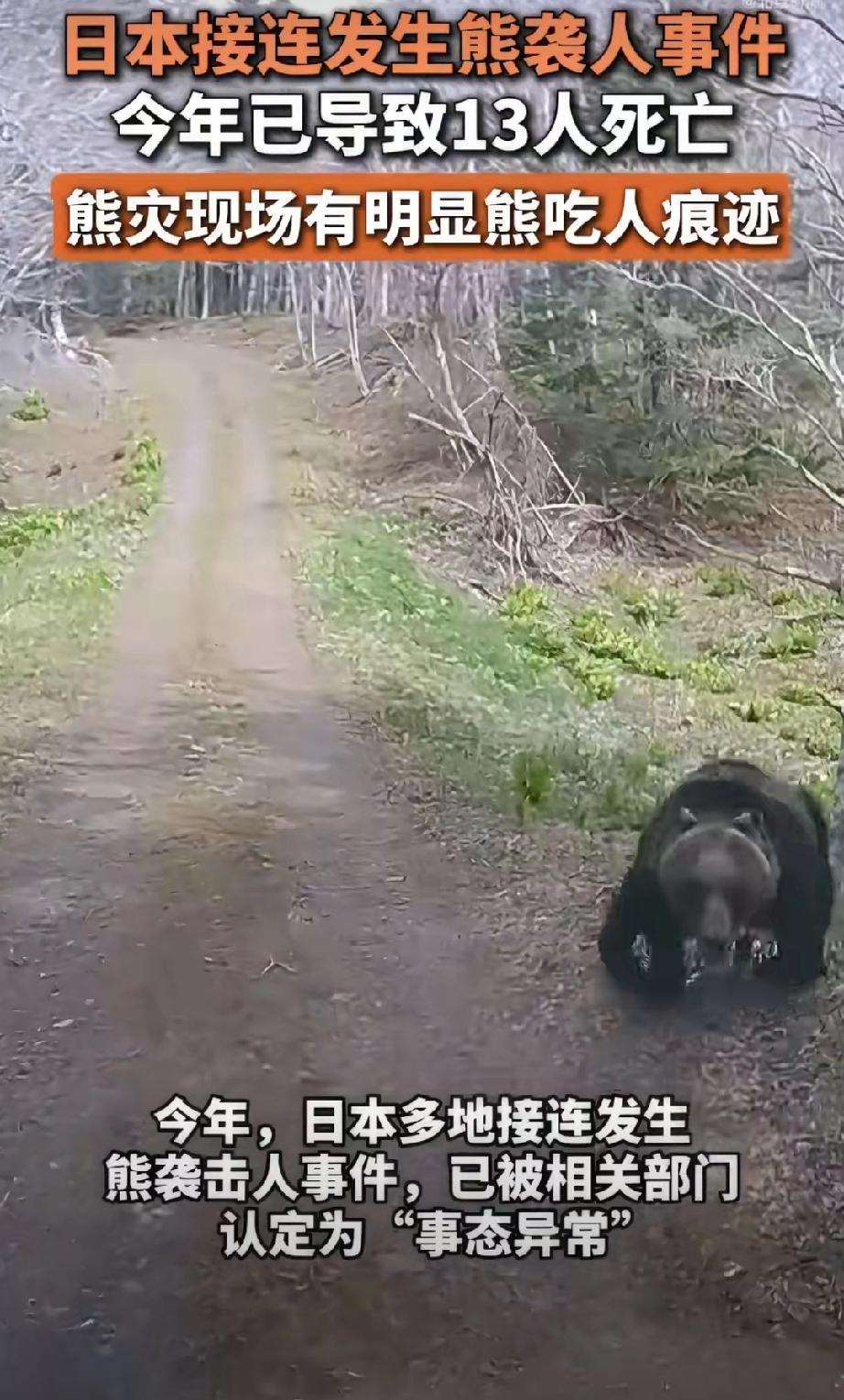 最近日本闹得沸沸扬扬的熊袭人事件，真是让人后背发凉。据官方数据，今年4月到10月