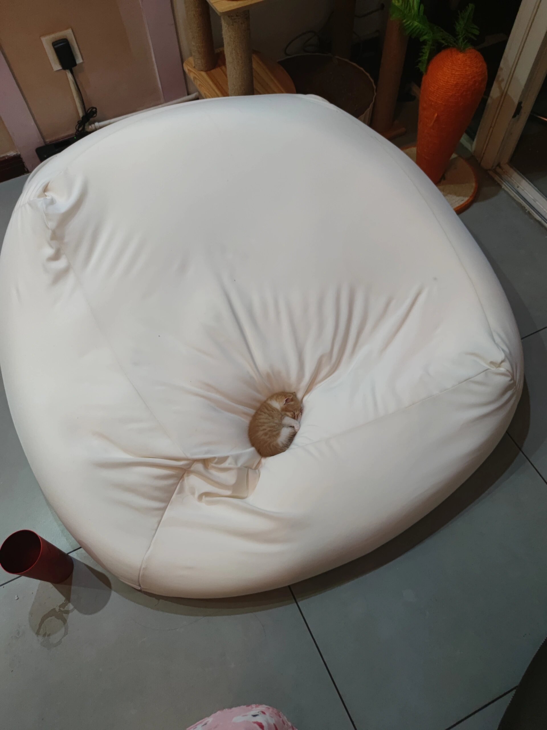 未来霸橘正在它的800平大床上午睡💤#新年快乐漫游指南##猫# ​​​