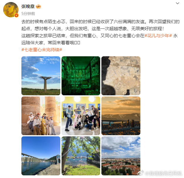 张晚意花儿与少年收官文张晚意去的时候陌生忐忑回来的时候满满的友谊 张晚意花儿与少