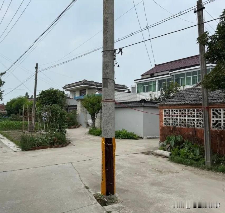 人间烟火味儿之《事与愿违》

邻居老李家大门口有一根电线杆，已经存在了好多年，老