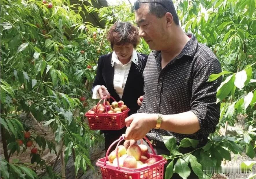 #人到中老年还能遇到真爱吗#r
肯定可以。放下执念，丢掉被欺骗的另一半，完全可以