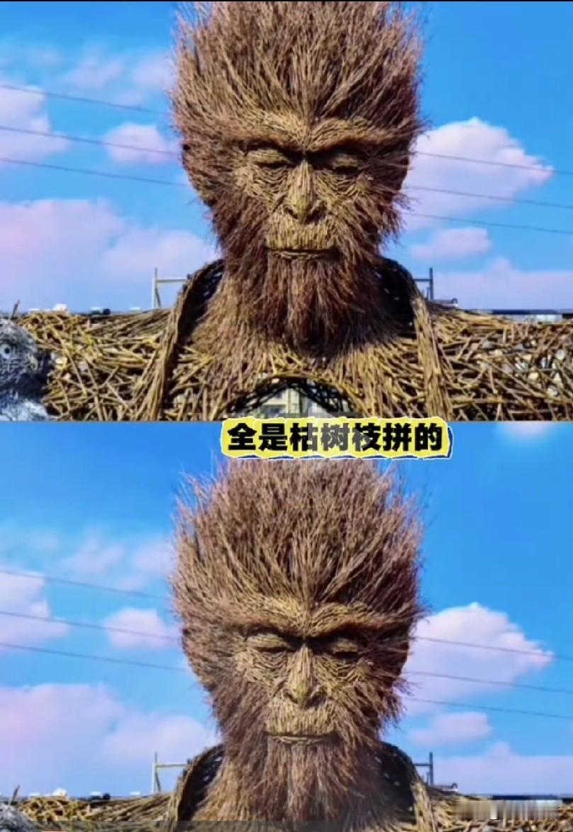 无数根枯树枝就是无数根毫毛，无数根毫毛就能变成无数个孙悟空，看看这位神奇的顶天立