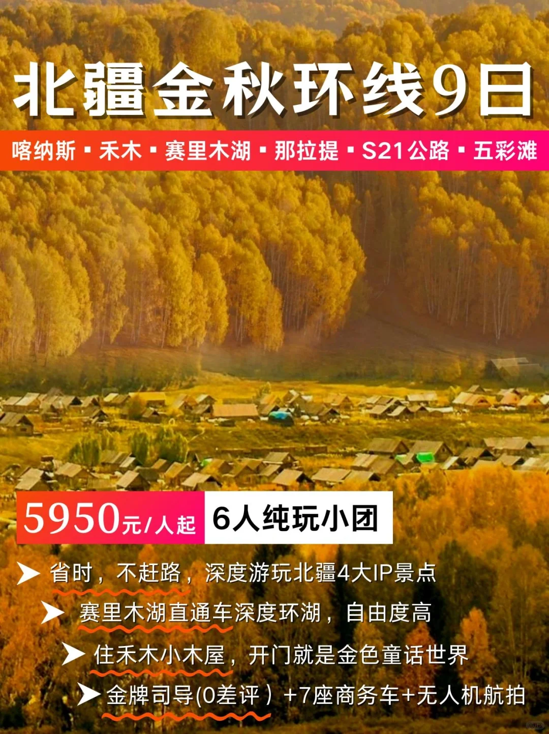 金秋新疆｜喀纳斯+禾木+赛里木湖纯玩9天8晚
