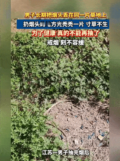 吓一跳！江苏这片草地被烟头“毁容”了——就因有人总往同一处扔烟头，好端端的草皮烂