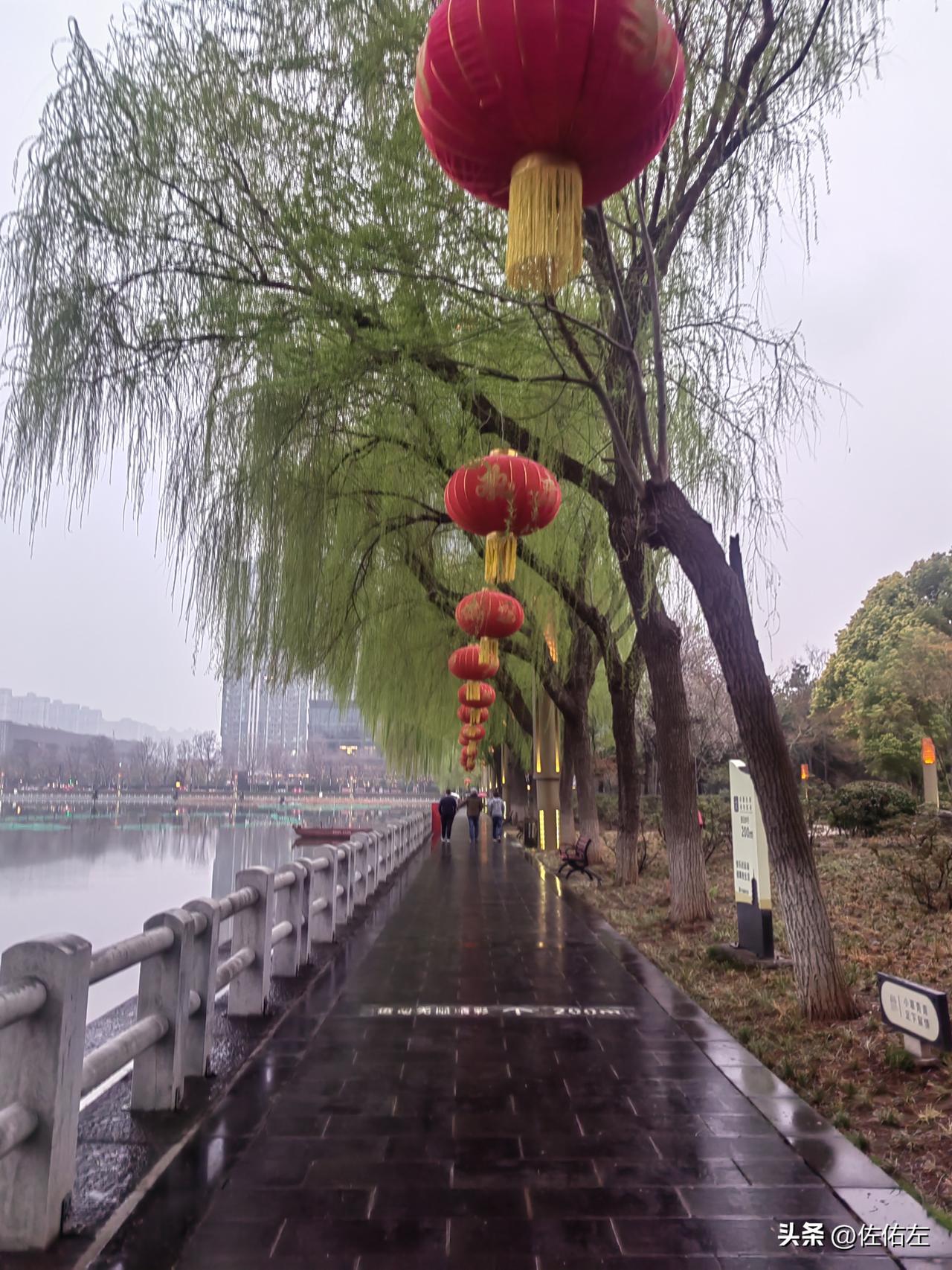 下班恰赶下雨，于是弃车细雨蒙蒙中漫步回家路。
早春三月，春雨绵绵，柳添新绿，花开