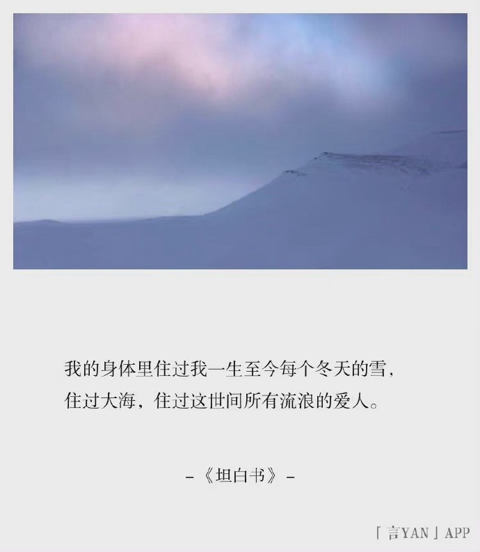 “在隆冬，我终于知道，我身上有一个不可战胜的夏天。” ​​​
