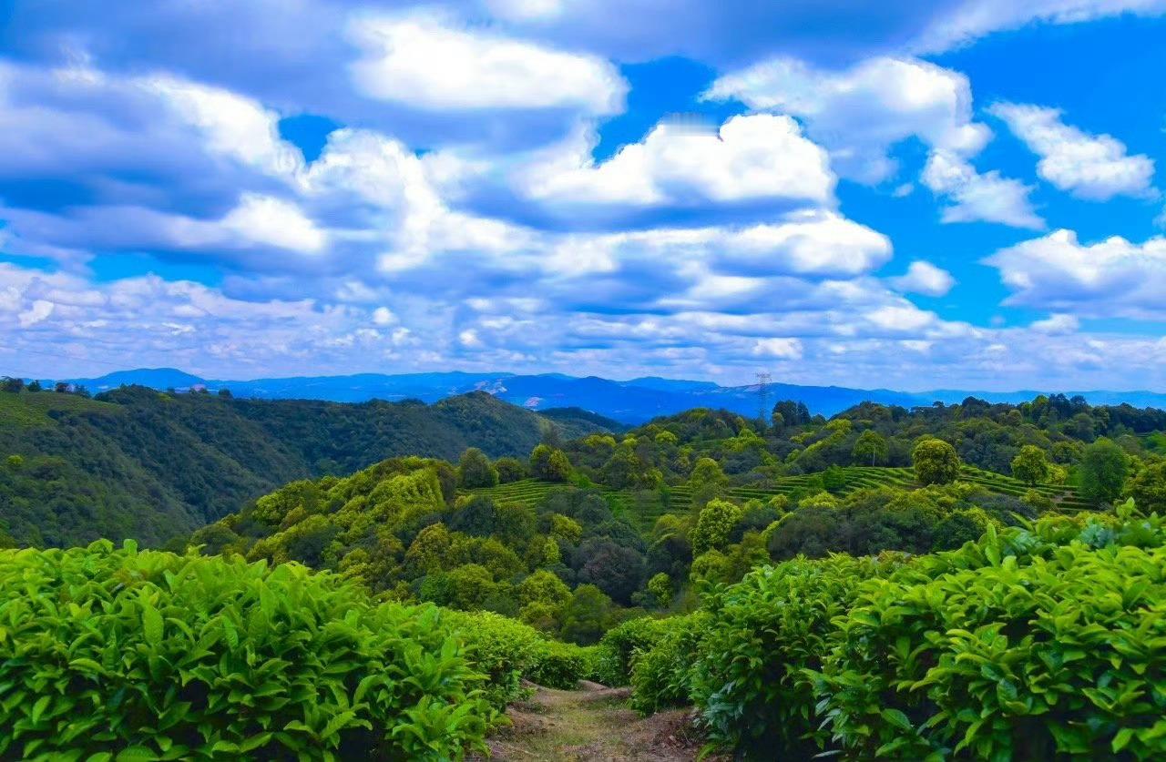 诗和远方｜去玉溪，过几日暖冬生活        秀美的山川湖水孕育出玉溪这片丰饶