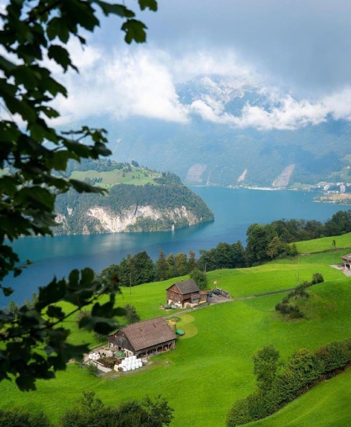 一定要约一次瑞士之行 🌳🇨🇭 