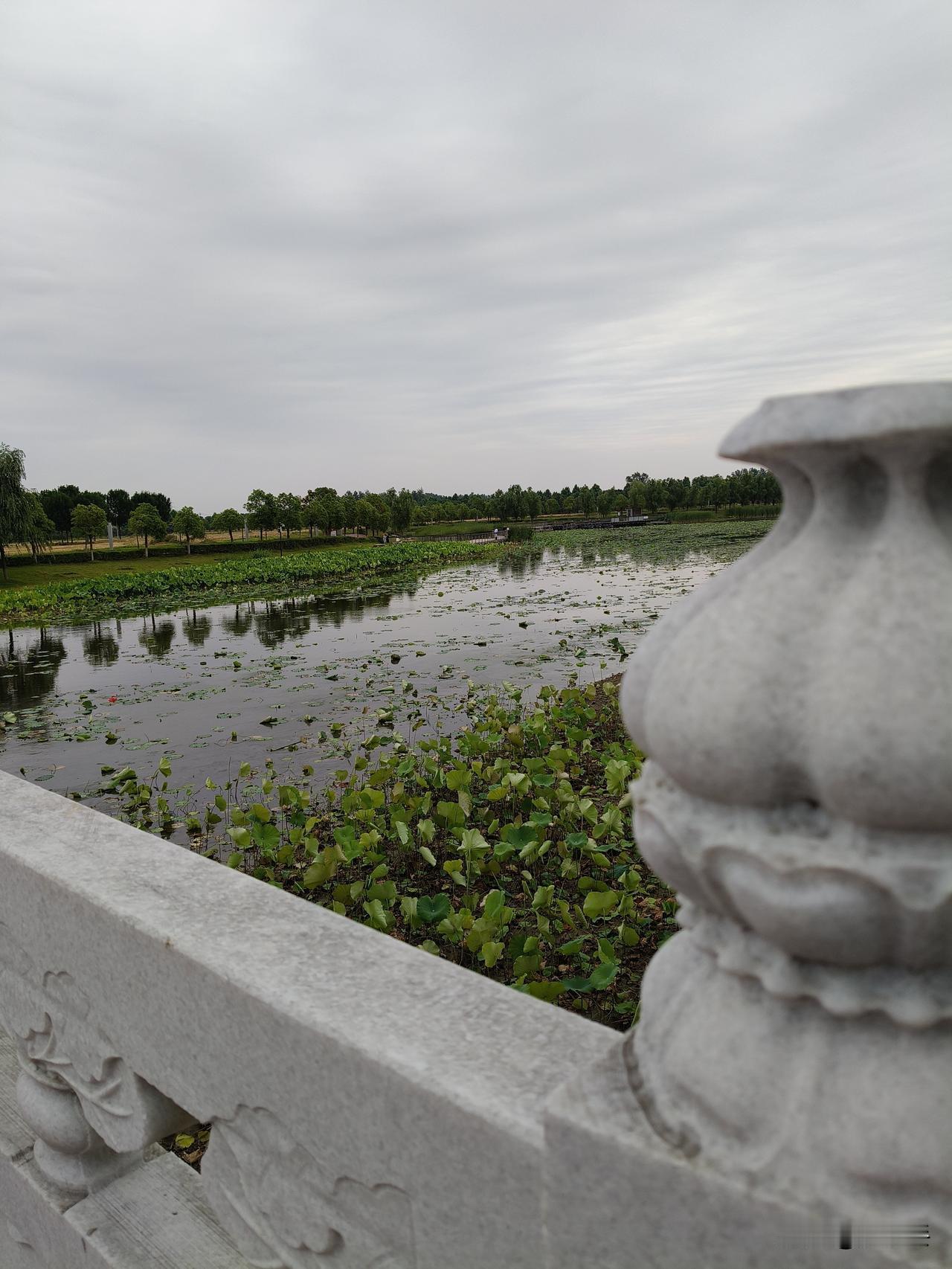 白云机场硬核劝返外籍旅客，全网力挺
 
6月7日广州白云机场，几名外籍旅客空箱入