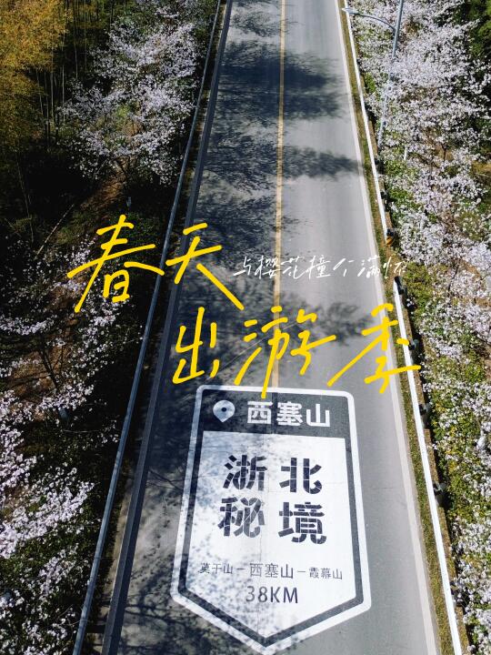 交换春天｜湖州西塞山的樱花已经next level