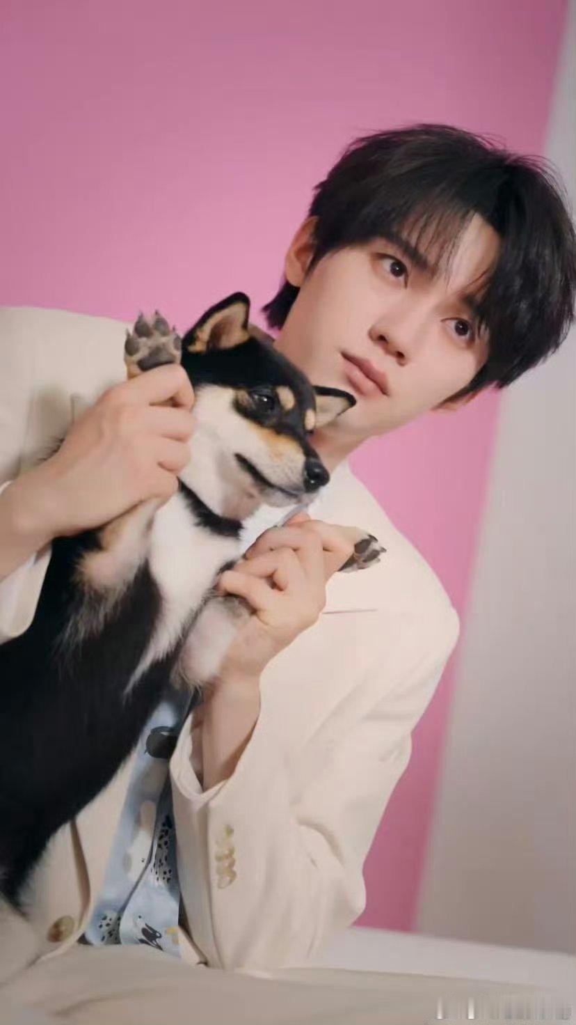 周翊然撒狗粮撒到我的心巴上 周翊然和狗狗都好可爱[心]周翊然好萌，和宠物们的互动