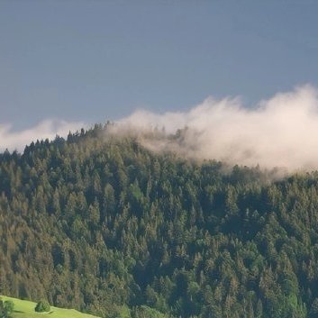 每日一善‎每日一善 ‎阳光‎信用  善良是一种美德，善良是一种远见，善良是一种自