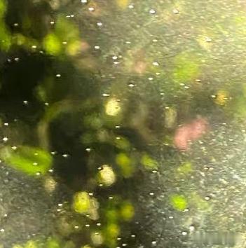 0000人生的价值，往往藏在微小的善行之中。在熙熙攘攘的尘世里，伸出援手、传递善