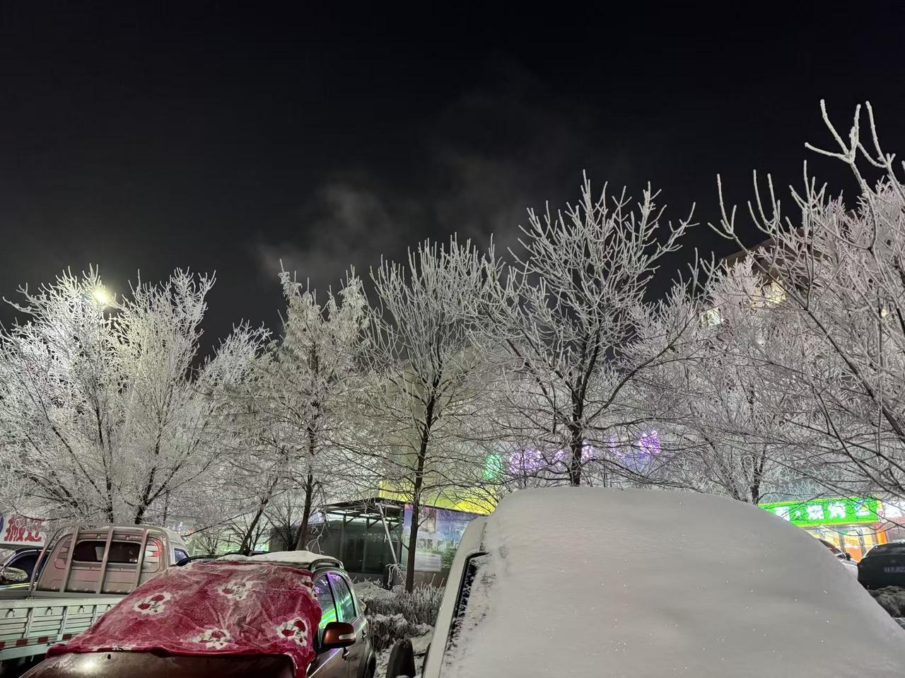 今年冬天的不同