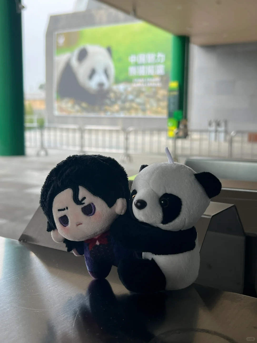 当你的娃来到成都